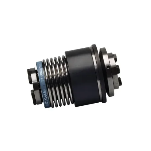 KBK/BII Güvenlik Kaplini